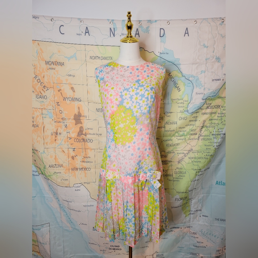 Vintage 1960s Eve Carter Floral Sleeveless Dress with Pleated Skirt